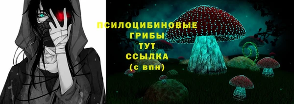 прущие грибы Балабаново