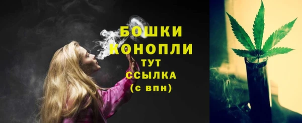 прущие грибы Балабаново