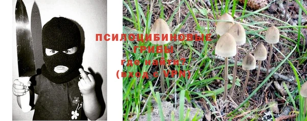 меф Снежногорск
