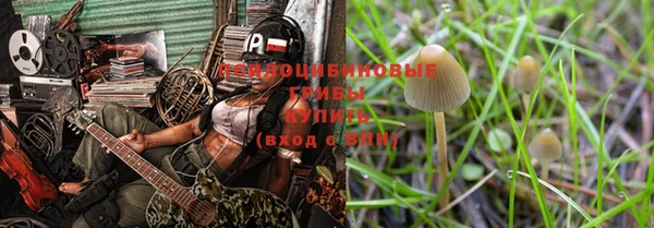 прущие грибы Балабаново