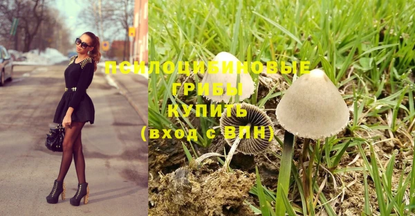 ECSTASY Балахна