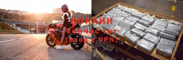прущие грибы Балабаново