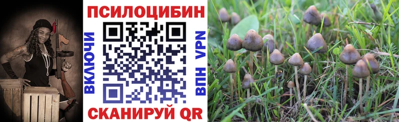 Галлюциногенные грибы мицелий  Сенгилей 